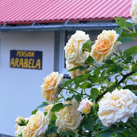 Pension Arabela 哈拉霍夫 外观 照片